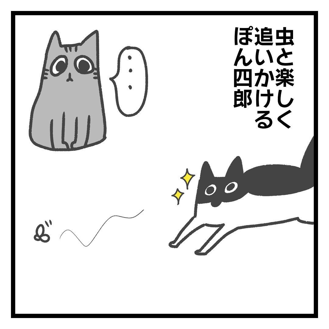 猫　追いかける　漫画