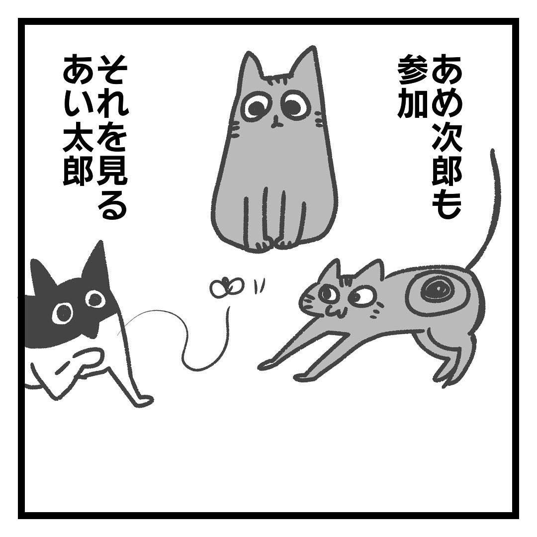 猫　追いかける　漫画