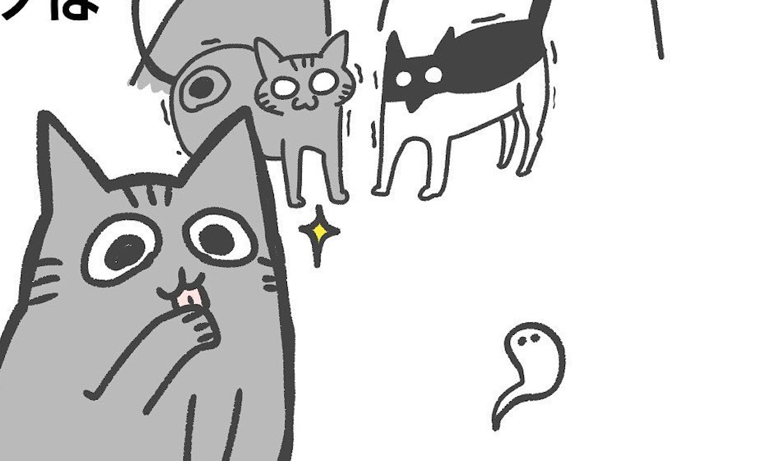 【漫画】第3話：うわっ！同居猫ちゃんの容赦無い行動にビックリする猫くん♪【ぽん四郎くん】