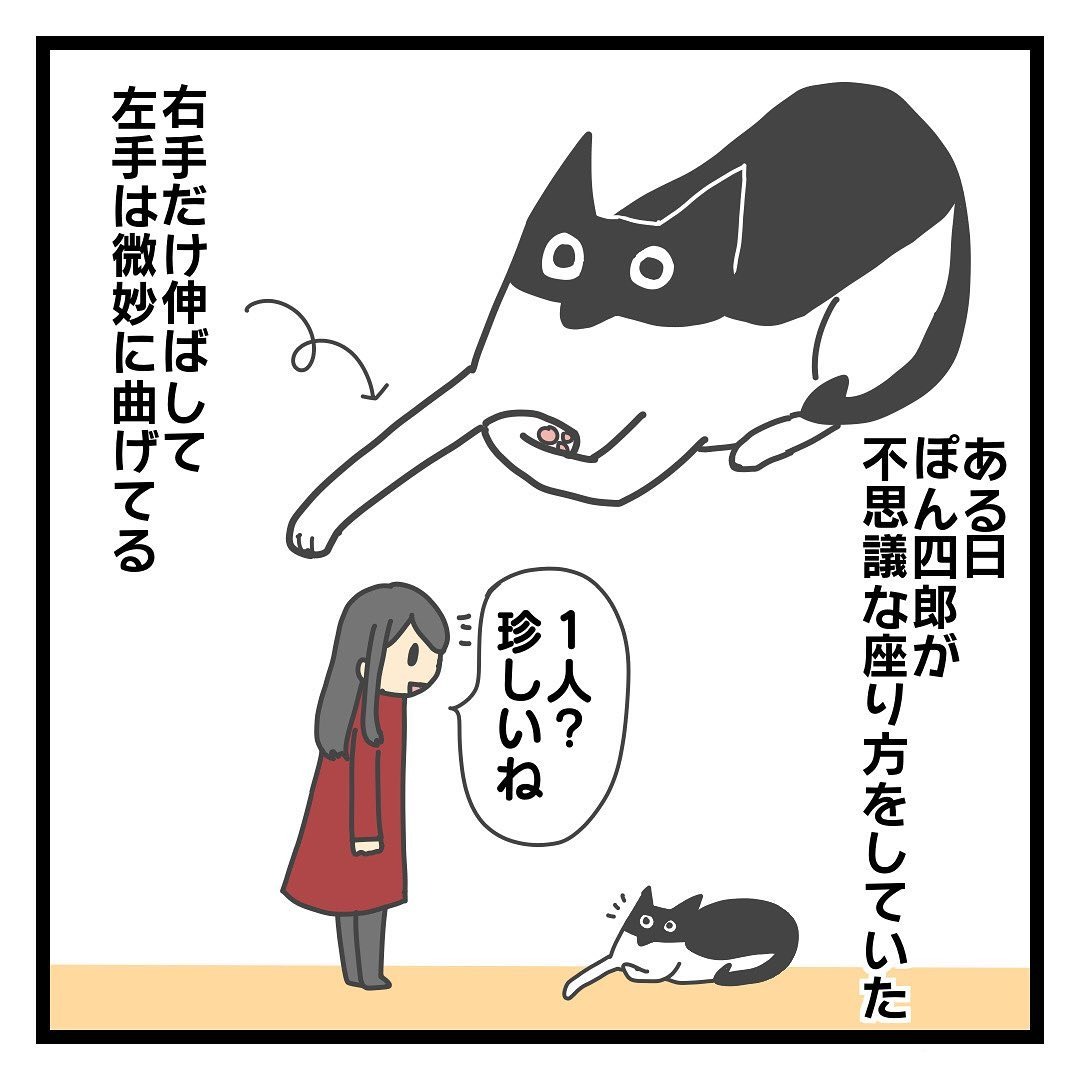 猫　ポーズ　漫画