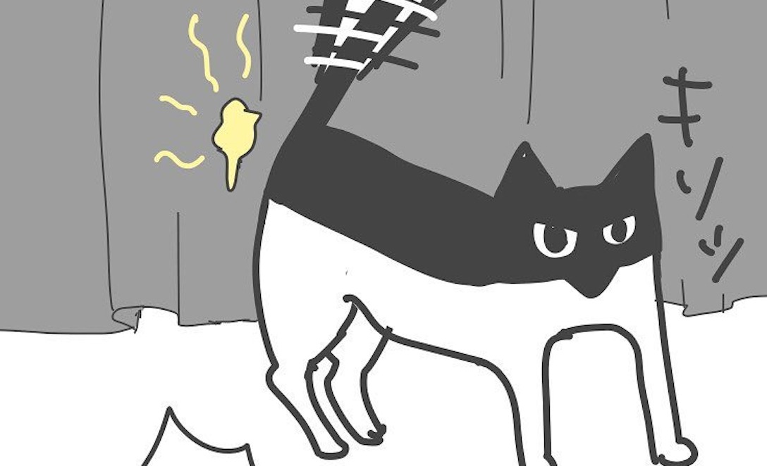 【漫画】第9話：なぜそこで？カーテンの所でマーキング動作をする猫くん♪【ぽん四郎くん】