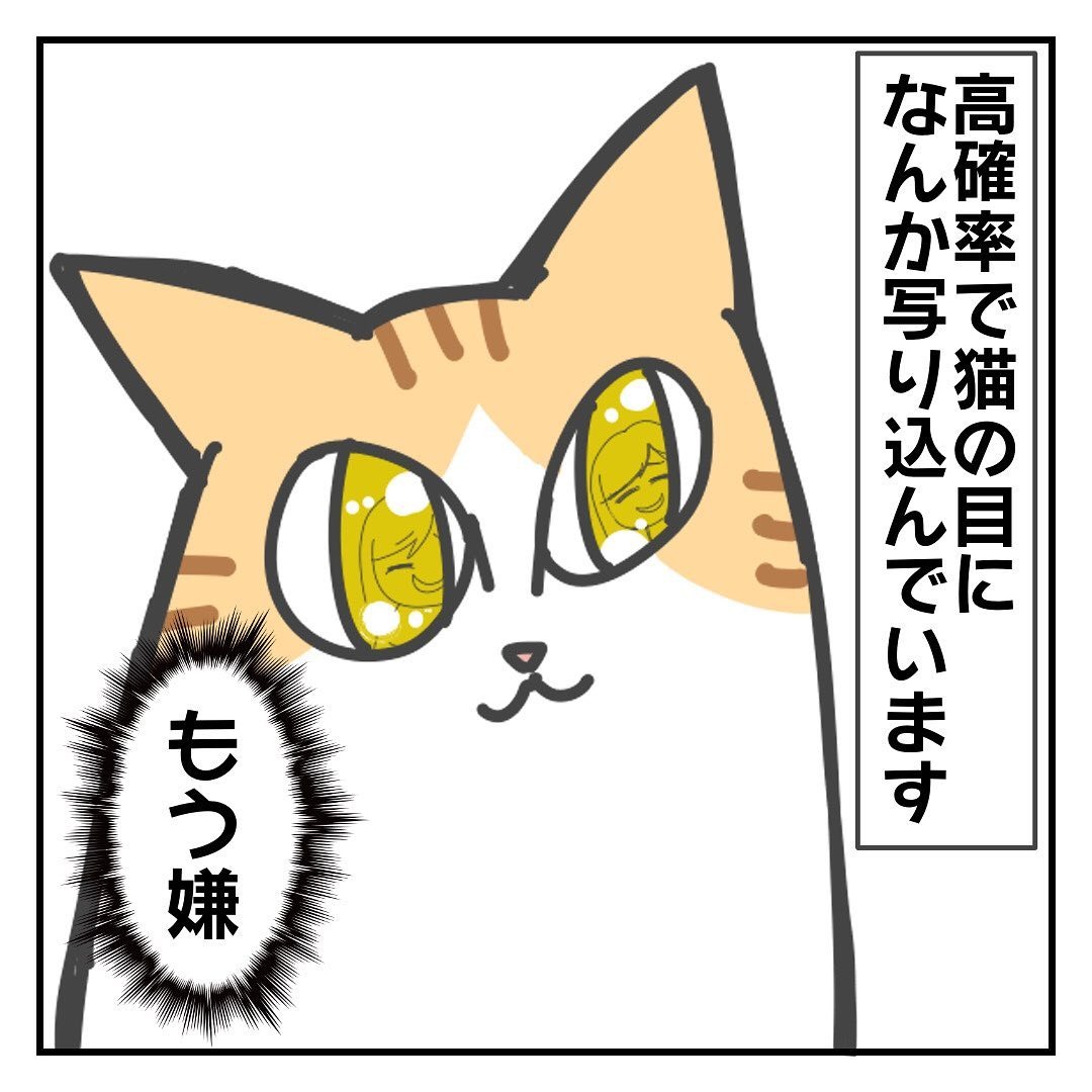 猫　目　漫画