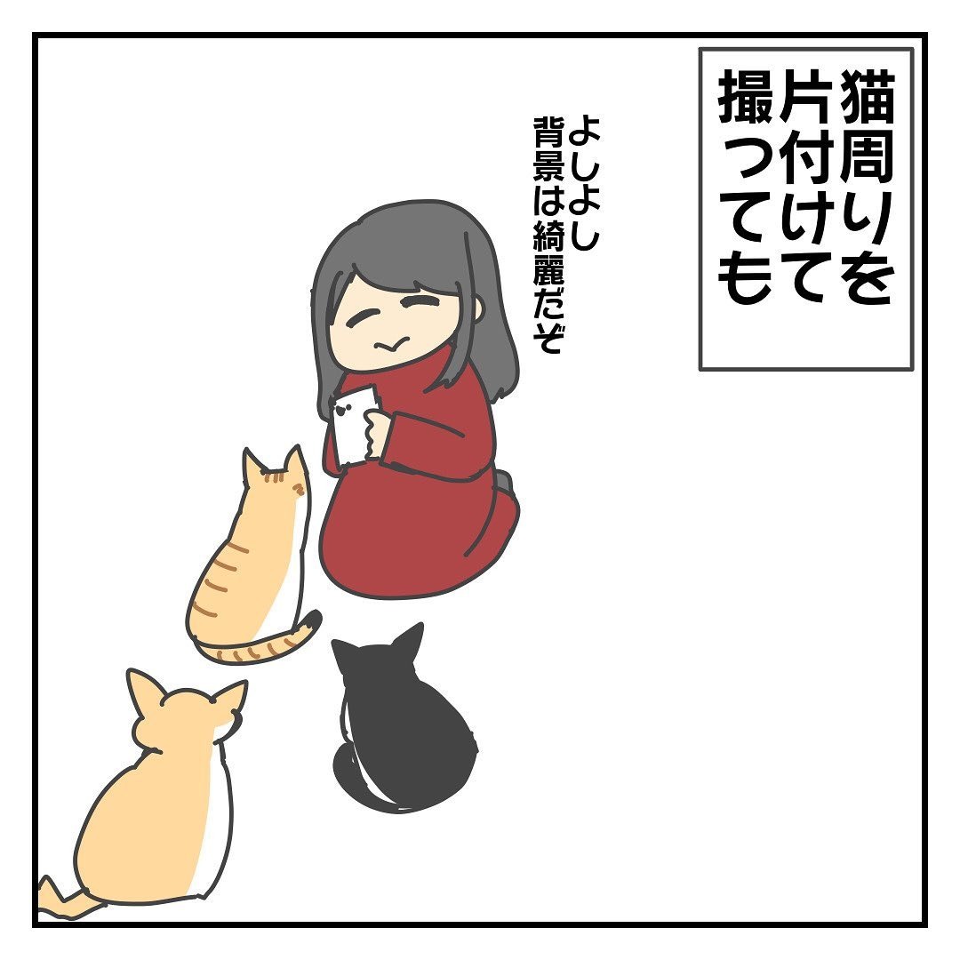 猫　片付け　漫画