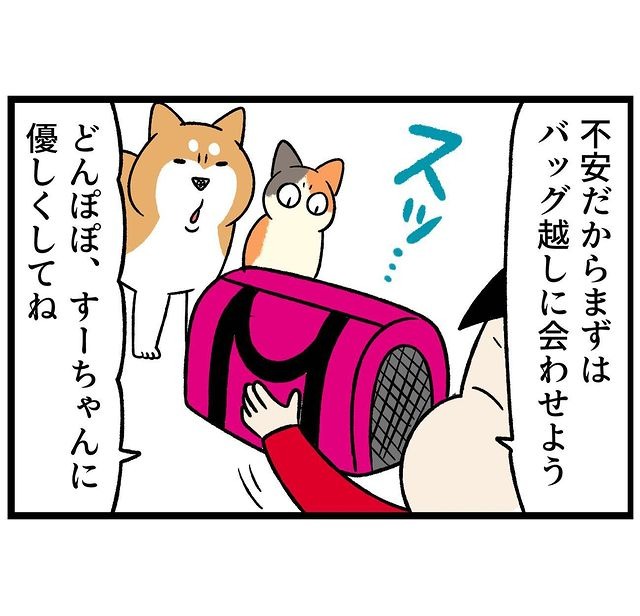 猫　バッグ　漫画
