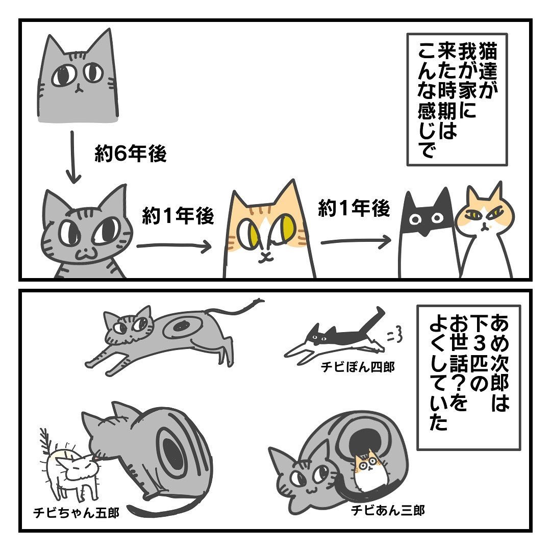 猫　世話する　漫画