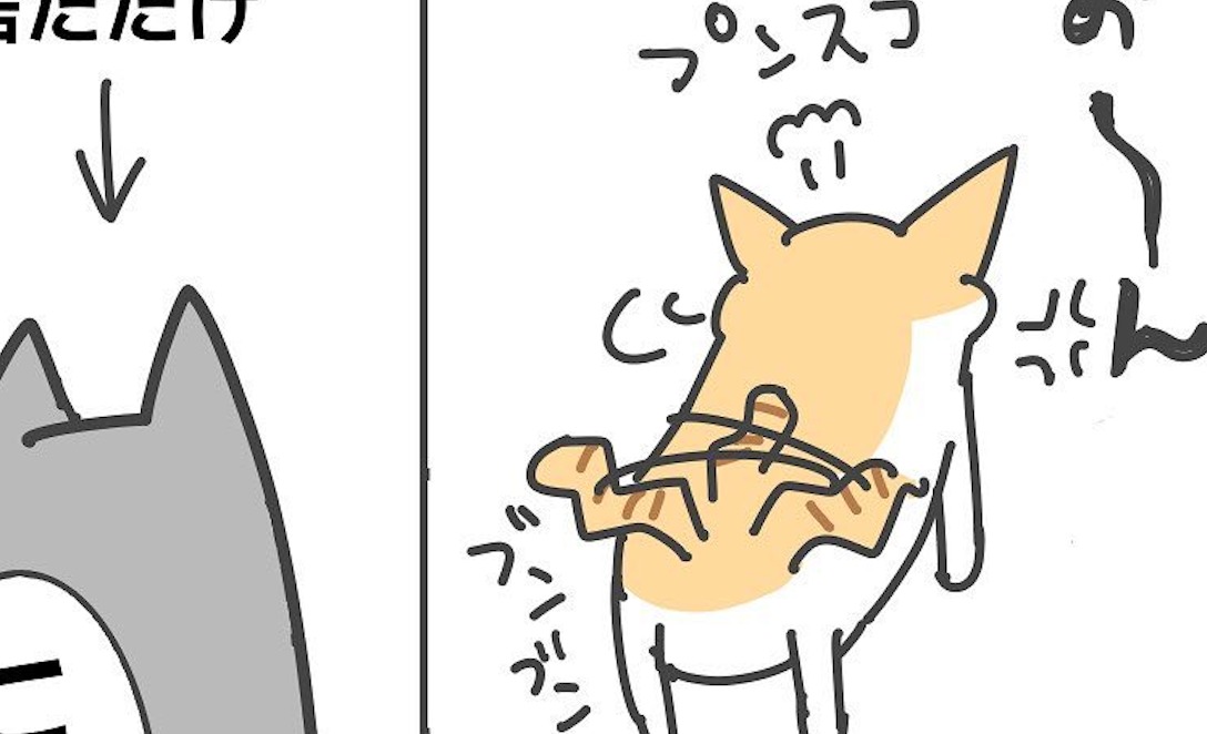 【漫画】第14話：プンスコ！ただそこに居ただけの同居猫に怒るニャンコ【ちゃん五郎ちゃん】