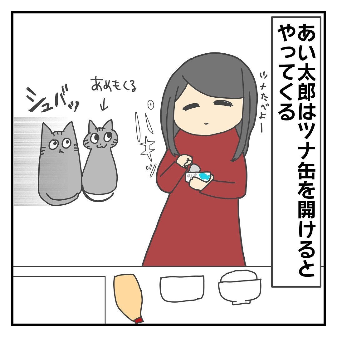 猫　ツナ缶　漫画