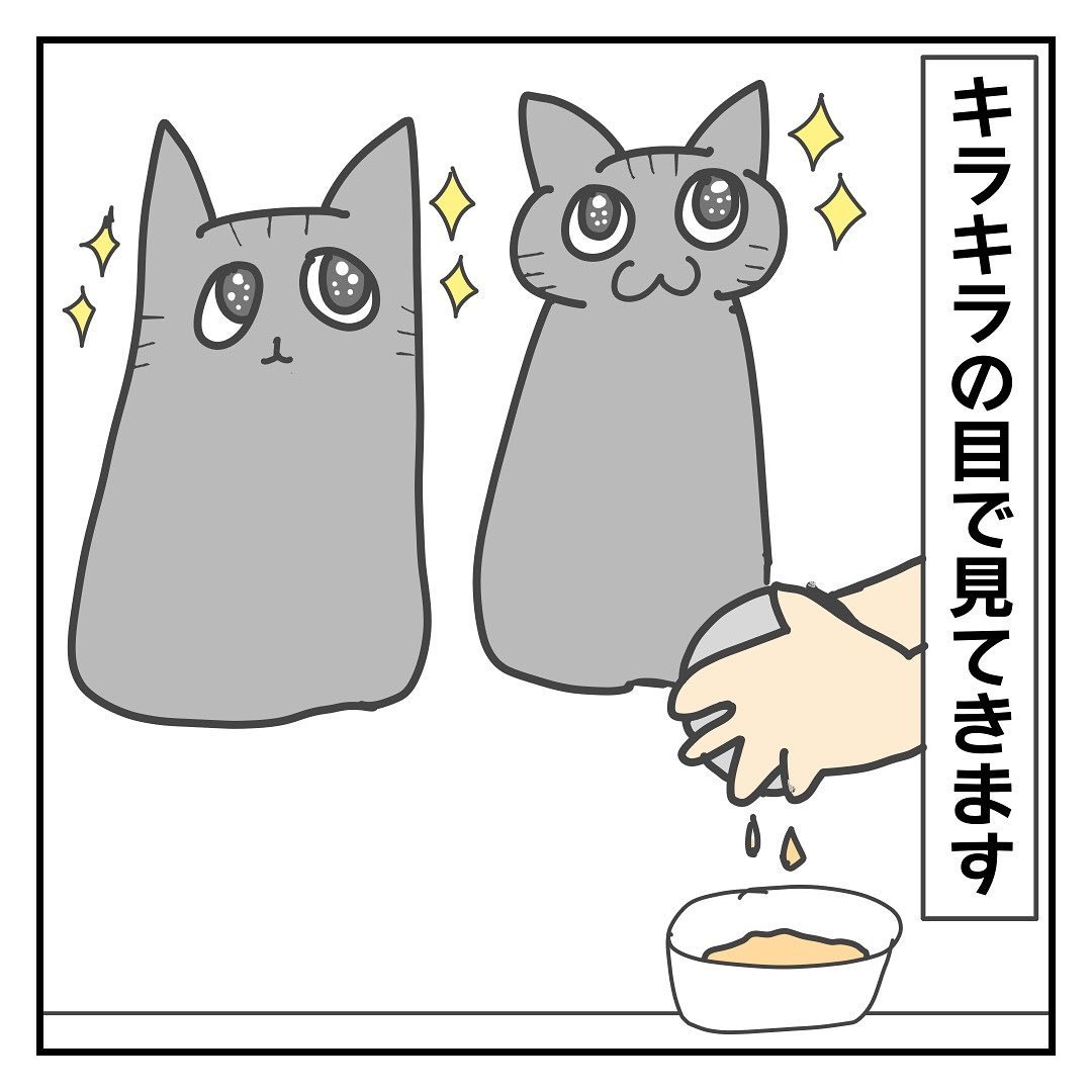 猫　キラキラ　漫画