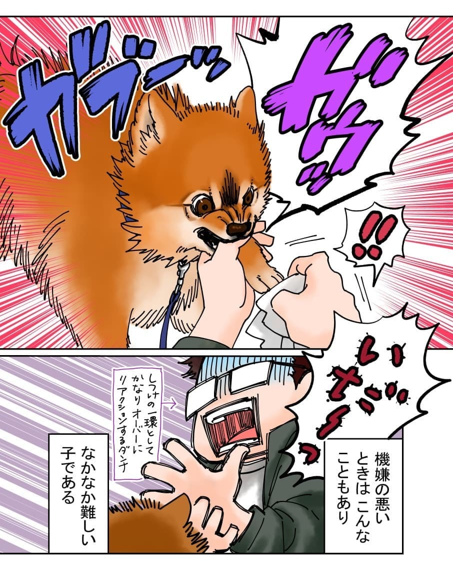 犬　噛む　漫画