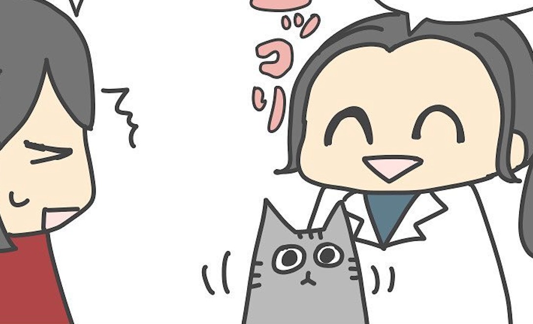 【漫画】第24話：歯が折れた猫ちゃん…。医師から言われた予想外のこととは？【あい太郎ちゃん】