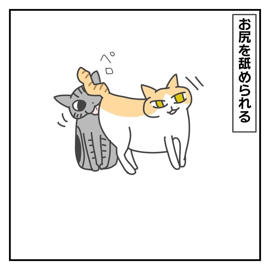 猫　舐められる　漫画