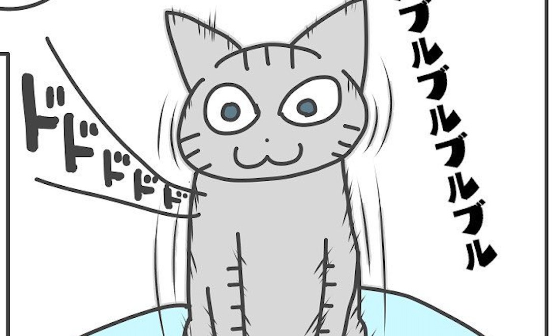 【漫画】第34話：ブルブルブル…。初めての抱っこに震える猫ちゃんにキュン【あめ次郎ちゃん】