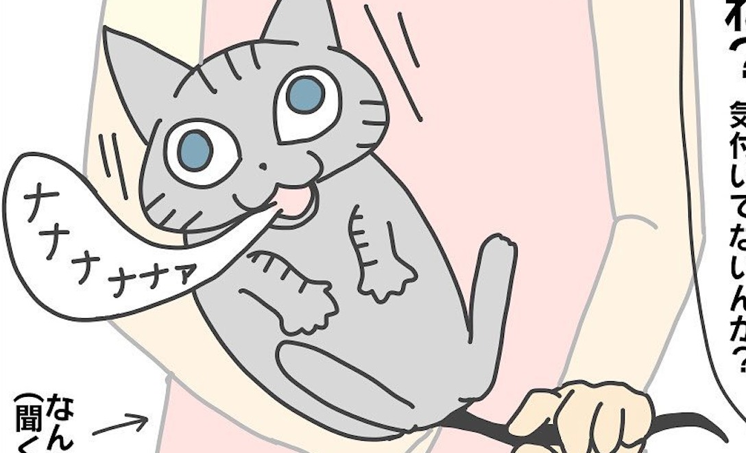 【漫画】第36話：ナナナ…。尻尾を触られて戸惑う子猫ちゃんの表情がヤバイ【あめ次郎ちゃん】