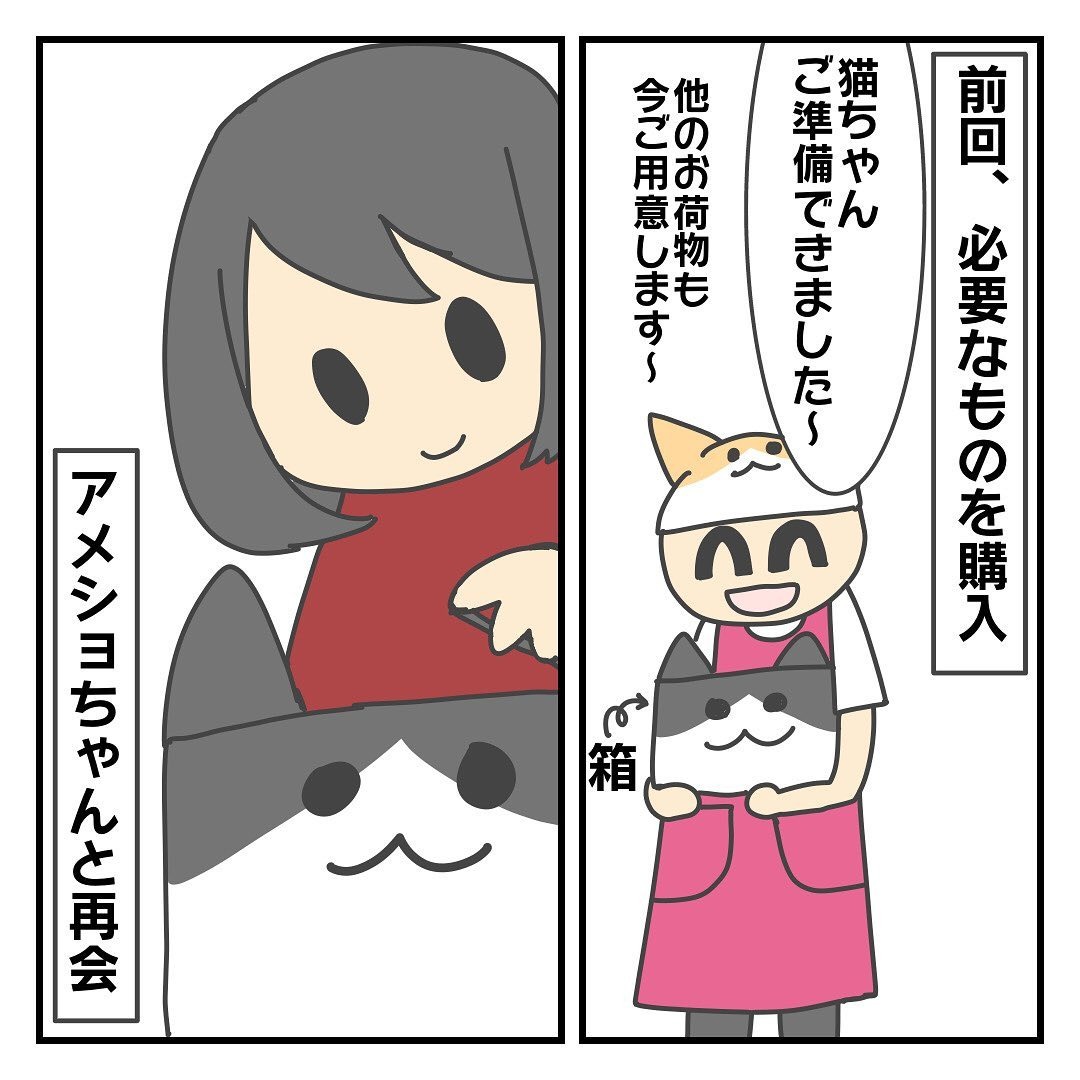 猫　再会　漫画