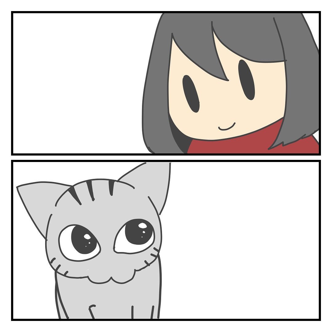 猫　見つめる　漫画