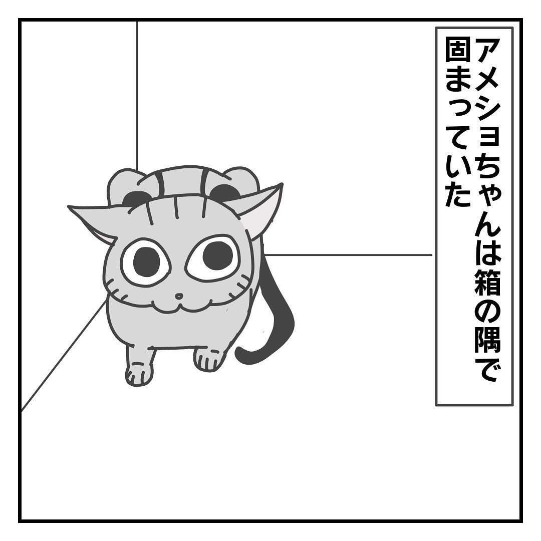 猫　固まる　漫画