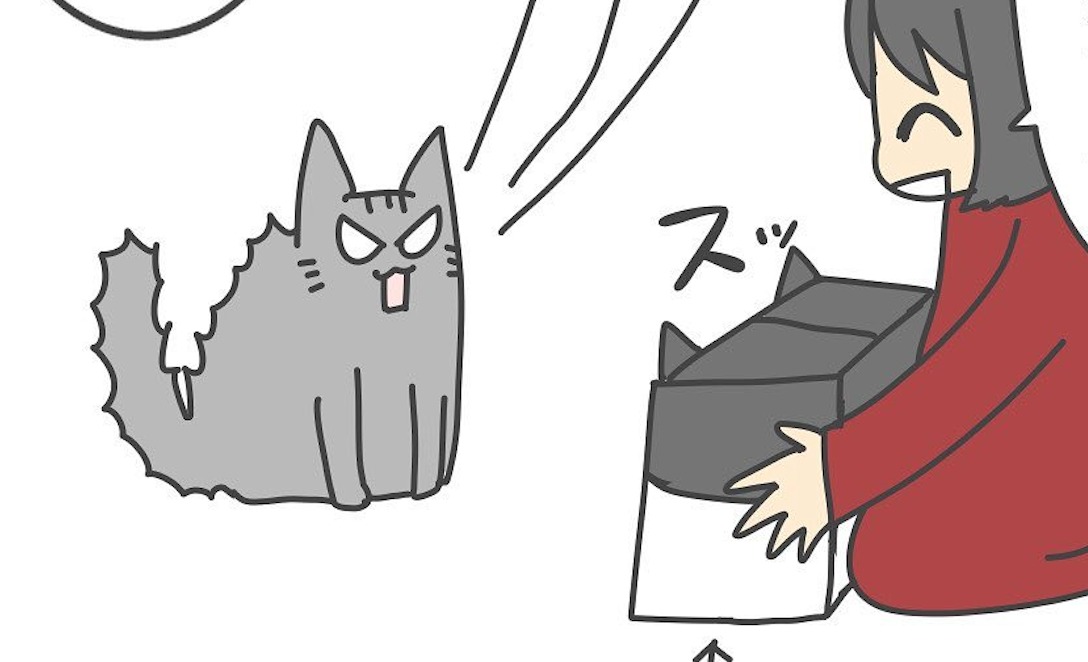 【漫画】第39話：別れと出会い…。先住猫に“シャー”とされる新入り猫ちゃん【あめ次郎ちゃん】