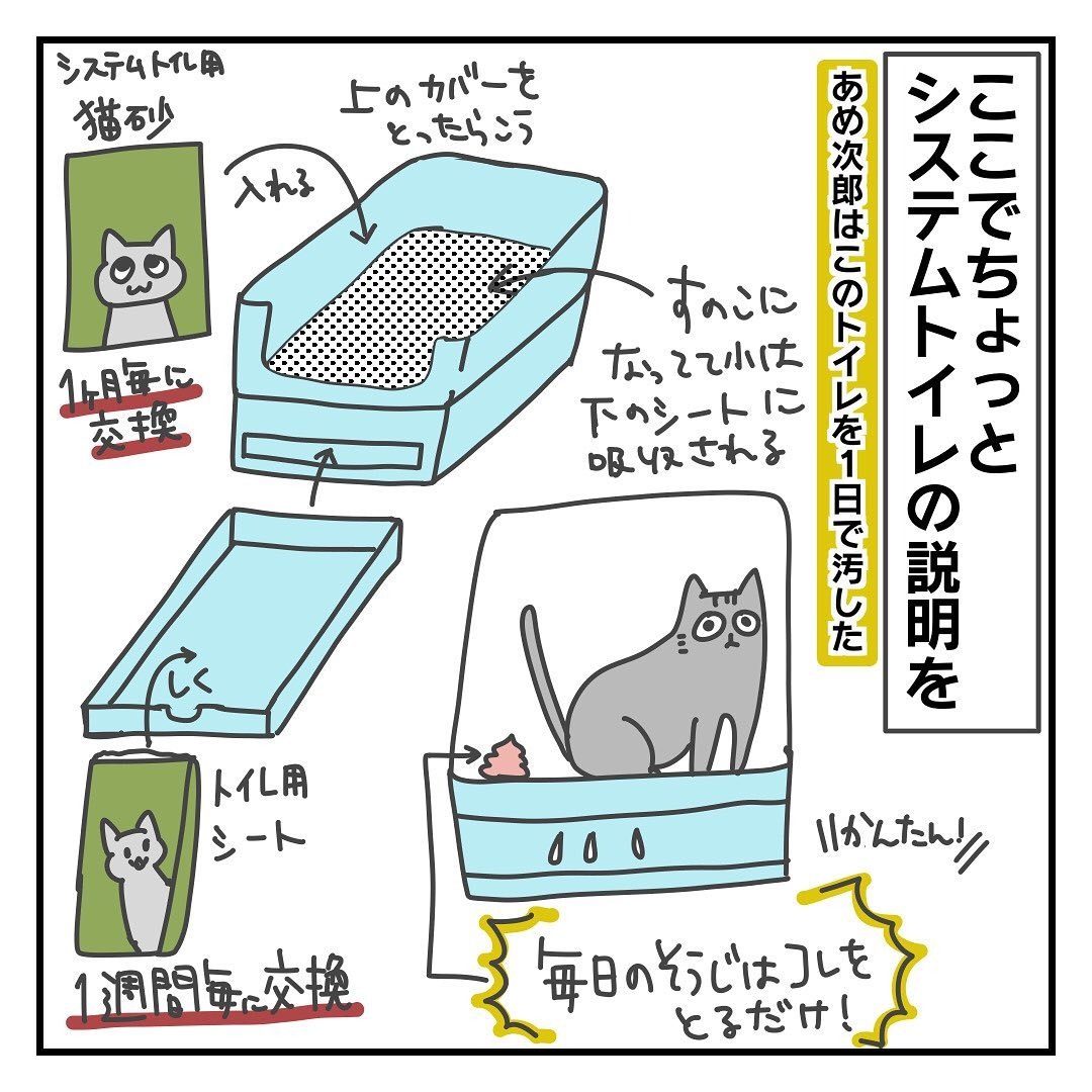 猫　トイレ　漫画