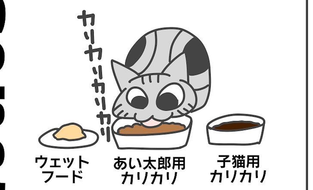 【漫画】第42話：下痢が治った♡家にあったキャットフードを食べるニャンコ【あめ次郎ちゃん】