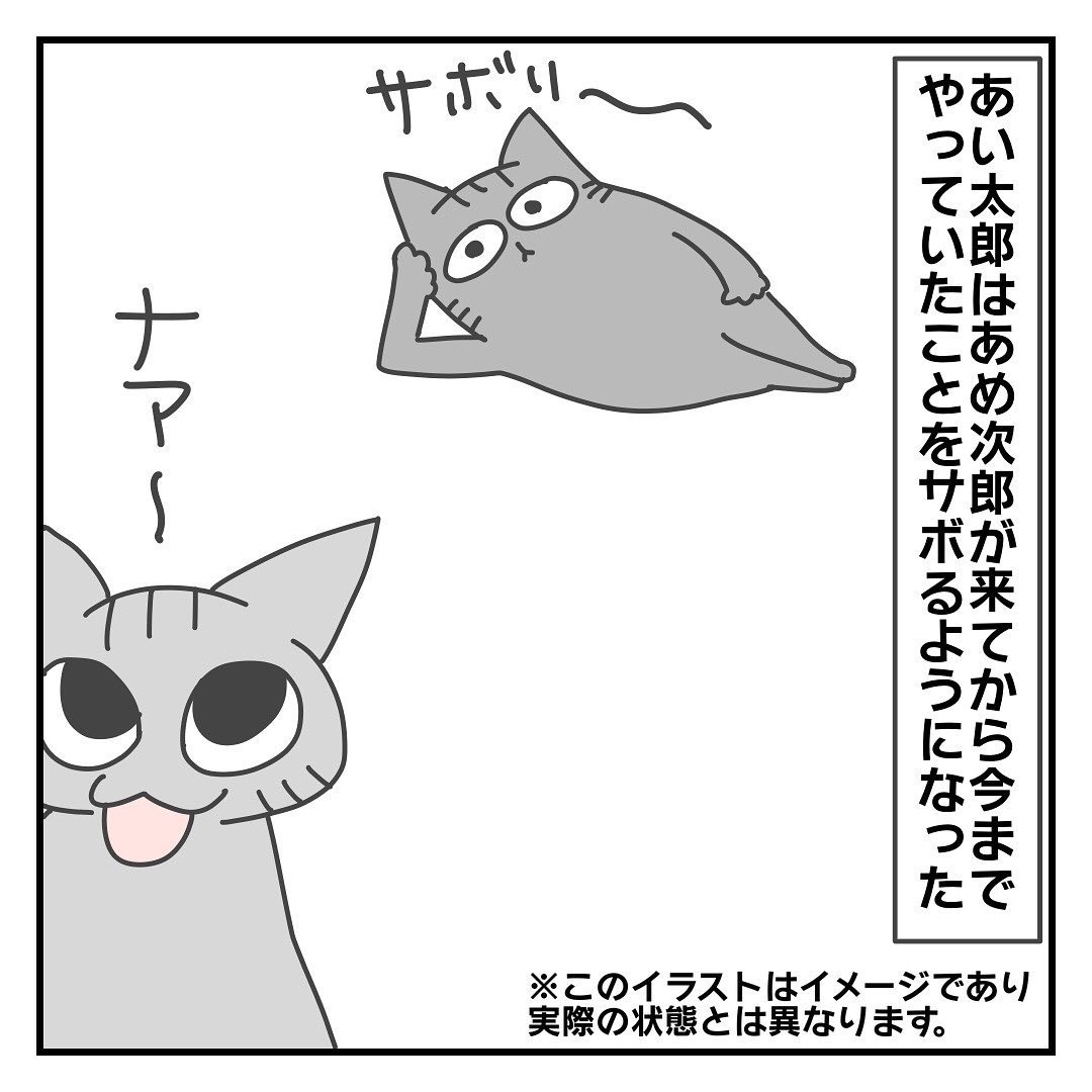 猫　サボる　漫画
