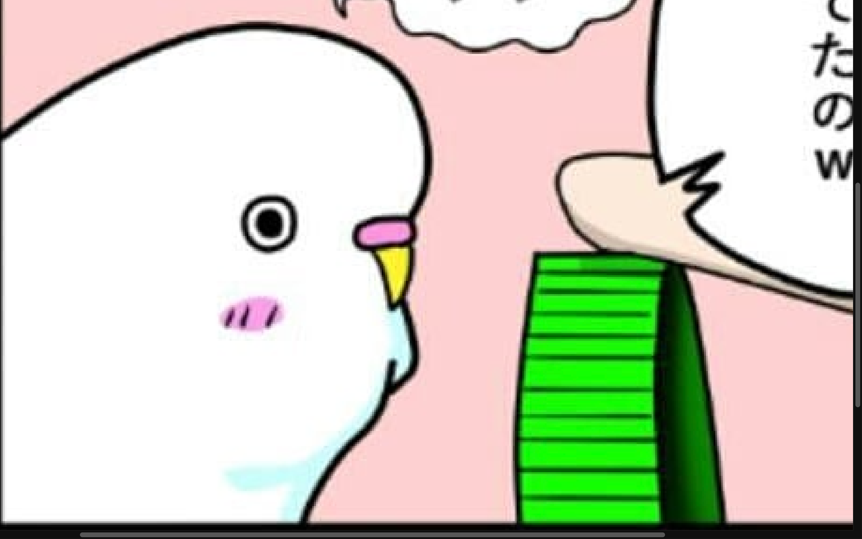 【漫画】第130話：「コンコンコン」自ら効果音を出して遊ぶインコがキュート♡【マロくん】
