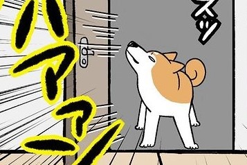 【漫画】第176話：冷房ついてるんだけど…。部屋のドアを全開にしちゃう柴犬さん【どんぐりちゃん】