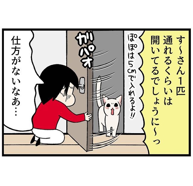 猫　開ける　漫画