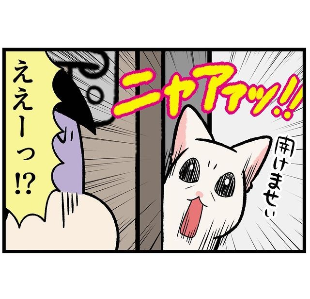 猫　ドア　漫画