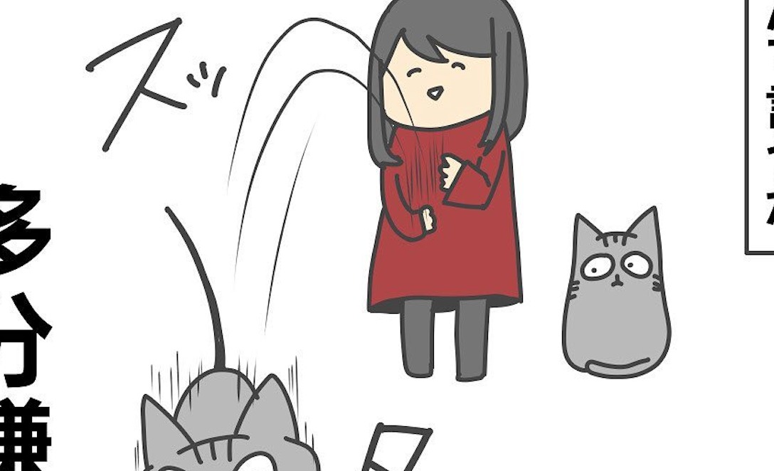 【漫画】第49話：自由だけど可愛い♡抱っこを拒否する猫ちゃんにクスッ【あめ次郎ちゃん】