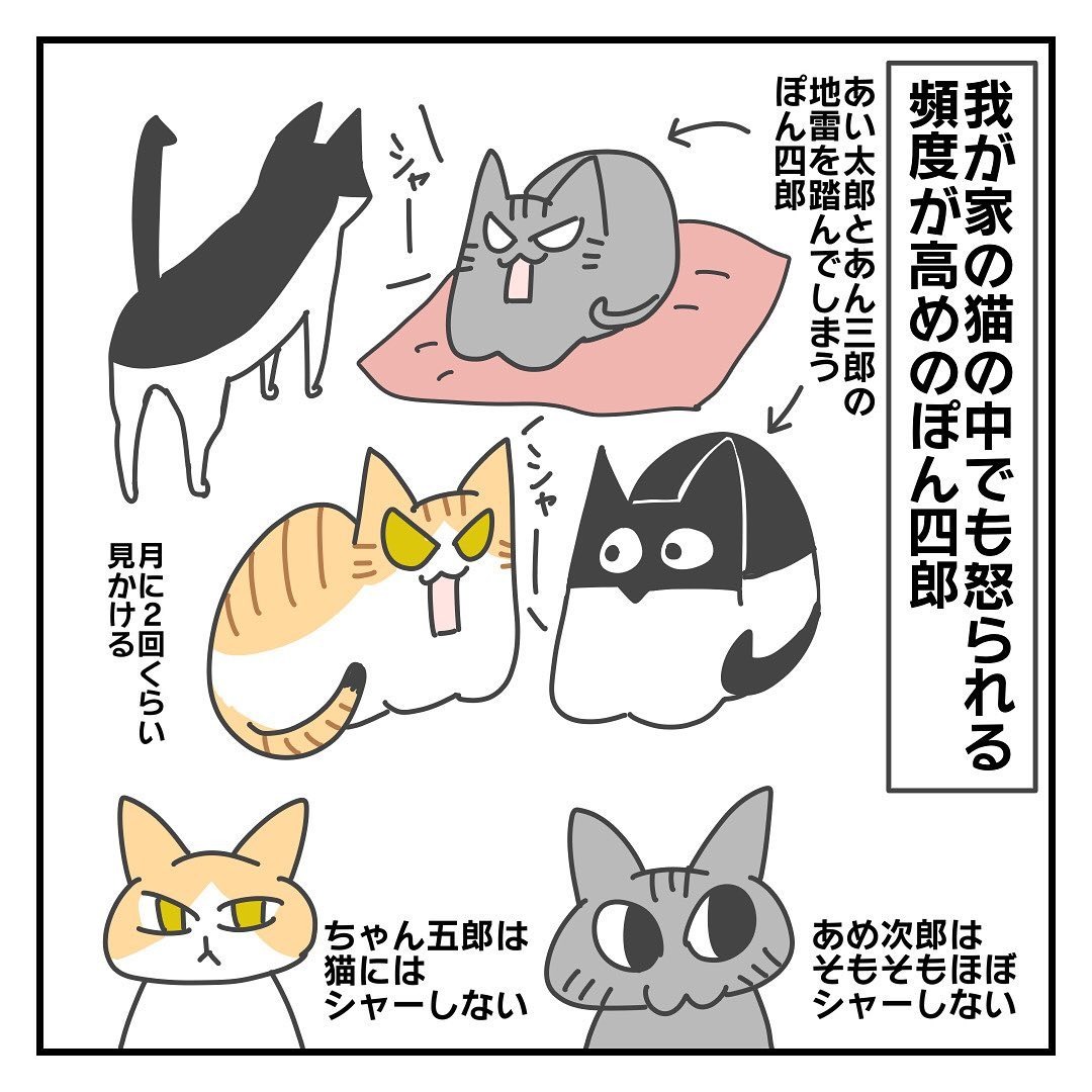 猫　怒られる　漫画