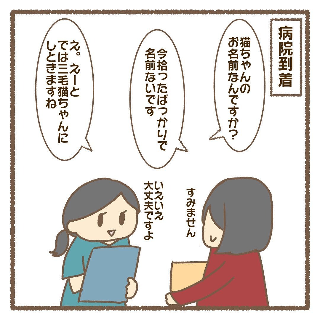 猫　病院　漫画