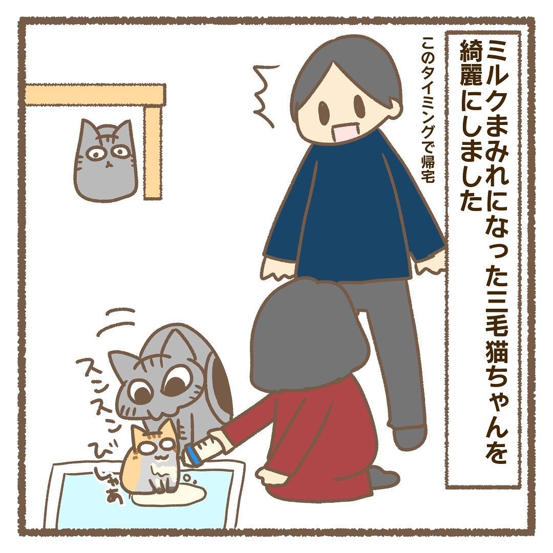 猫　ミルクまみれ　漫画