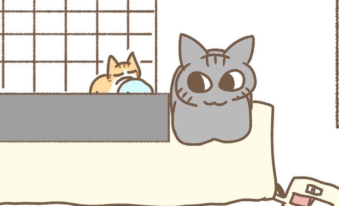 【漫画】第59話：優しいね♡病気の子猫のそばから離れないニャンコにほっこり【あめ次郎ちゃん】