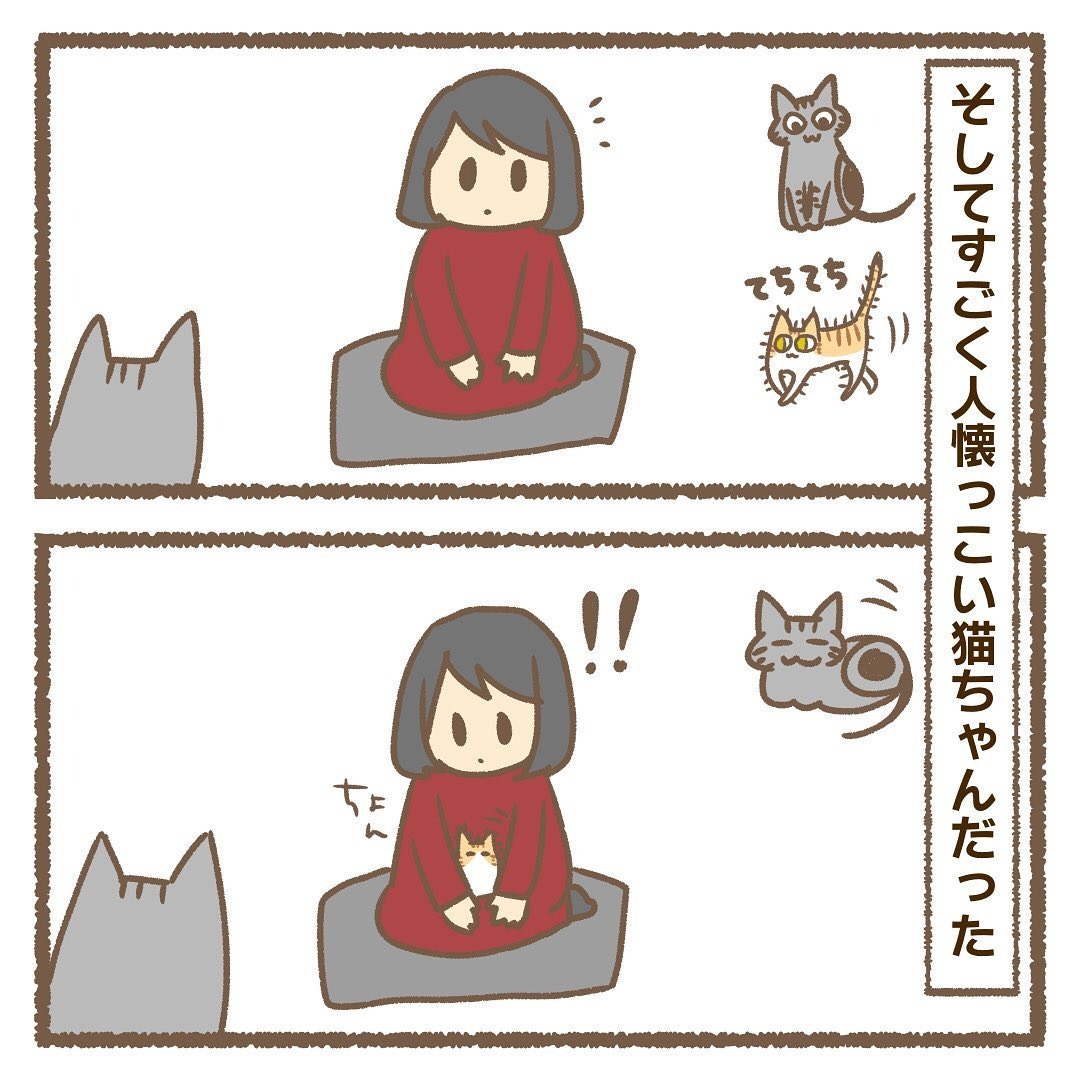 猫　乗る　漫画