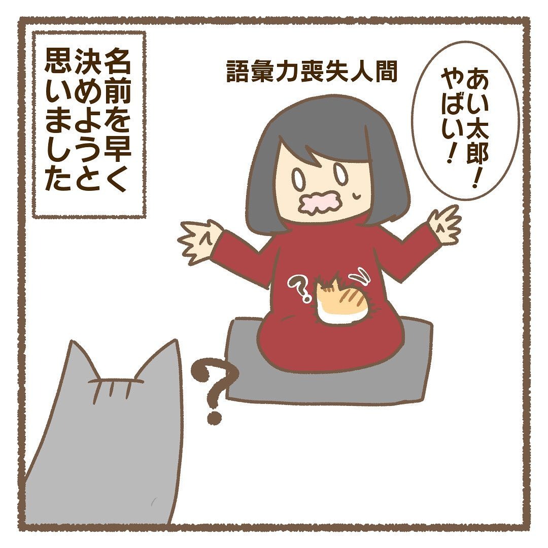 猫　名前　漫画