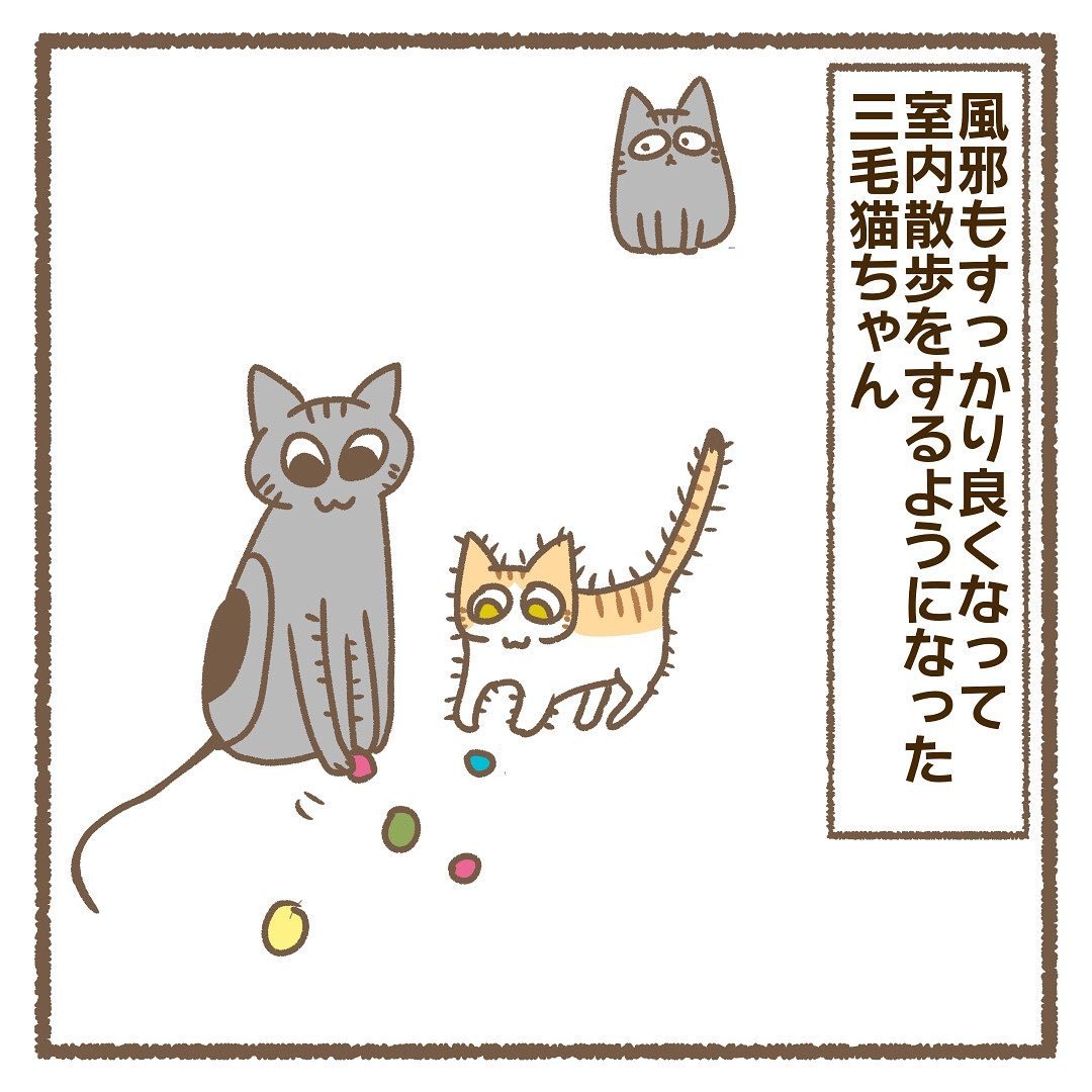 猫　元気　漫画