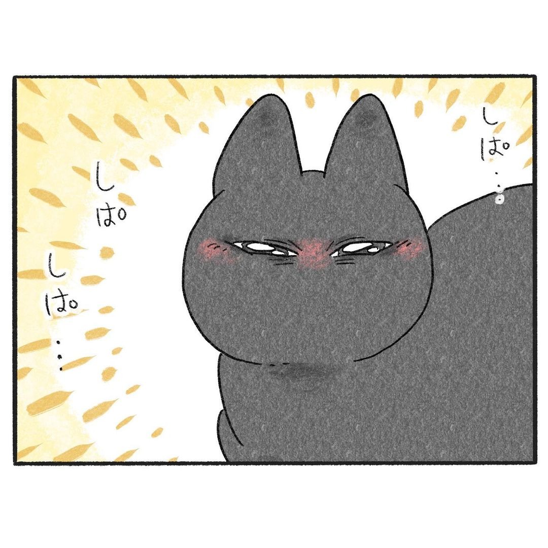 猫　細目　漫画