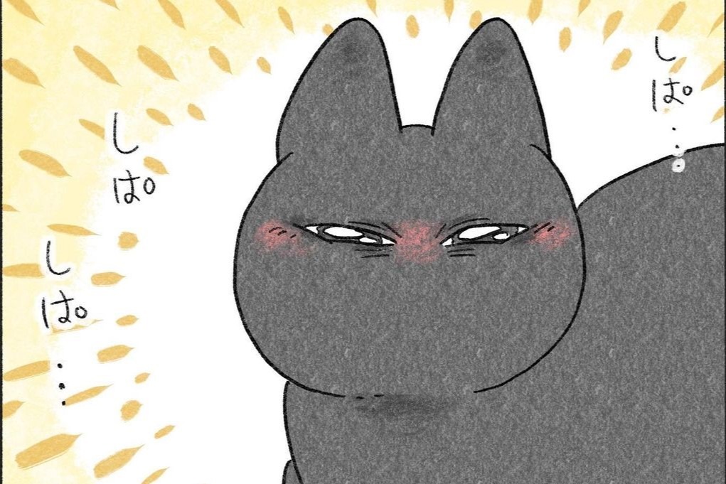 【漫画】第130話：恋が芽生えそう♡猫さんの“まばたき”が可愛すぎてキュン死！【くろもくん】