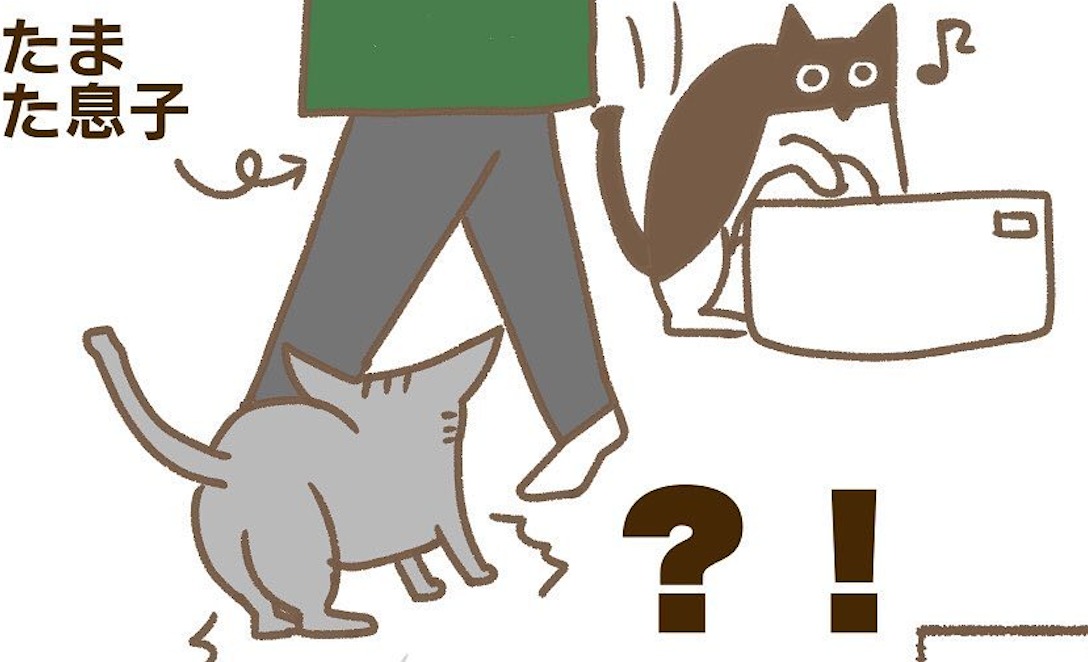 【漫画】第77話：間に合わなかった…。同居猫に箱を取られてしまったニャンコ【あい太郎ちゃん】