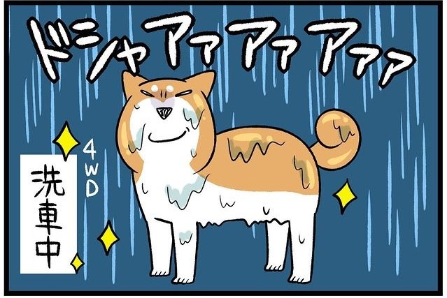 【漫画】第186話：雨の日の方が美しい？天然のシャワーを活用する柴犬さん【どんぐりちゃん】