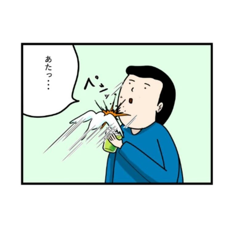 インコ　お茶　漫画