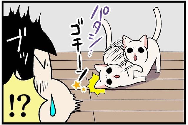 【漫画】第190話：「ナデナデしてニャ」白猫さんの身体を張った甘え方が話題！【すずらんちゃん】