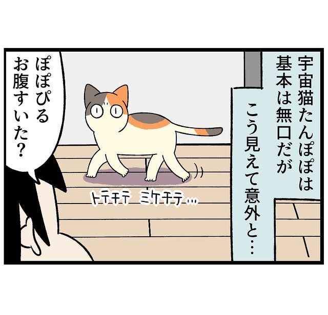 猫　無口　漫画