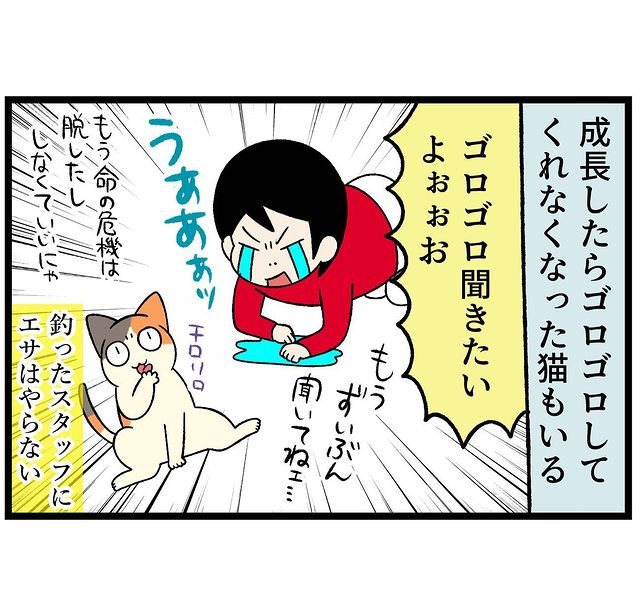 猫　クール　漫画