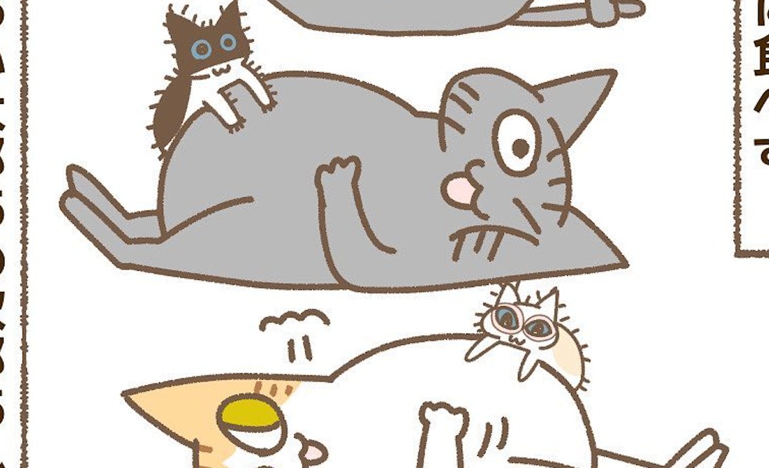 【漫画】第97話：大爆笑♪子猫ちゃんの食べ残しでお腹が満たされる先住猫たち！【ちゃん五郎ちゃん】