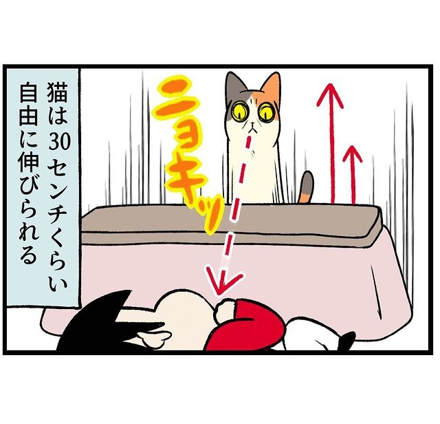 猫　伸びる　漫画