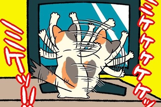 【漫画】第206話：本能には逆らえない！テレビに映る獲物をハンティングする猫さん【たんぽぽちゃん】
