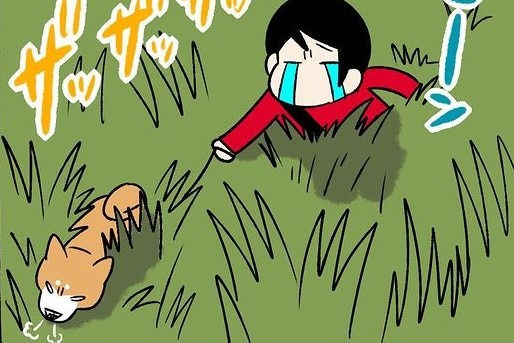 【漫画】第208話：「絶対に草むらがいいワン！」トイレの場所にこだわる柴犬さん【どんぐりちゃん】