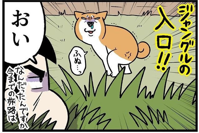 【漫画】第209話：結局そこでウンチするの？！柴犬さんがたどり着いた場所に爆笑【どんぐりちゃん】