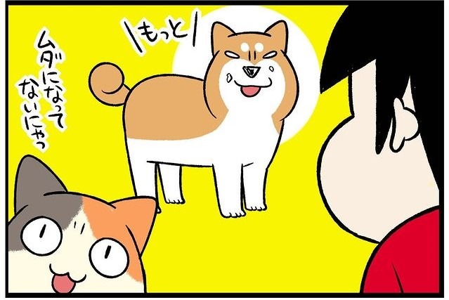 【漫画】第210話：「なんでも完食するワン！」妹猫の食べ残しを片付ける柴犬さん【どんぐりちゃん】